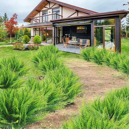 🎁Последен ден с 75% отстъпка🌿 Устойчива на ултравиолетови лъчи, реалистична изкуствена бостонска папра