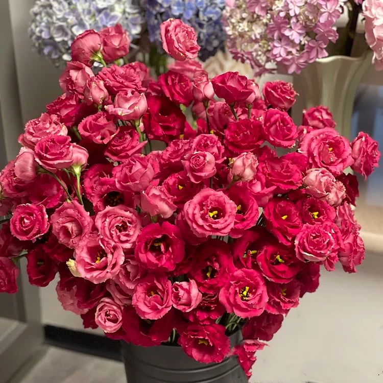 Eustoma Безколкова Роза💐 Лисантус Семена