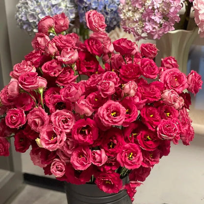 Eustoma Безколкова Роза💐 Лисантус Семена