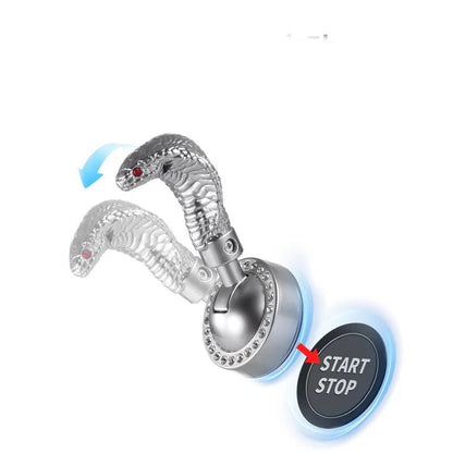 🐍🔑 Покритие на лост за стартиране на двигателя с форма на змия