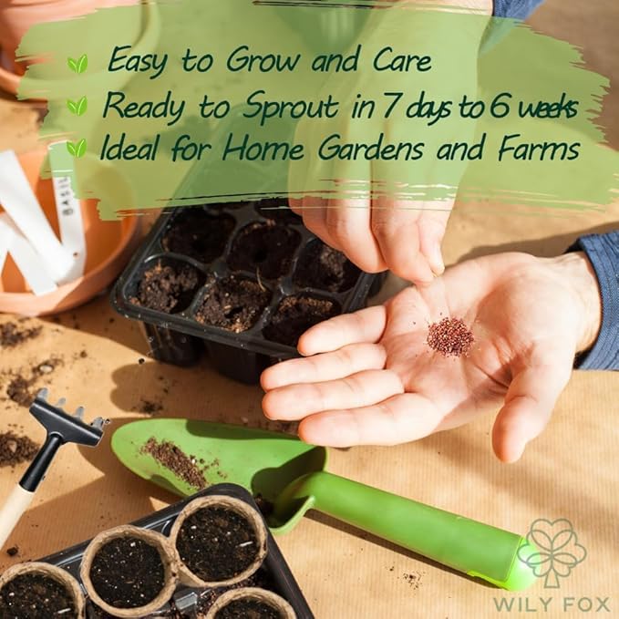 🍓 Наследствени семена от ягоди без ГМО ｜ Сладки и сочни · Висок и стабилен добив ｜ Подходящи за балкон и градина