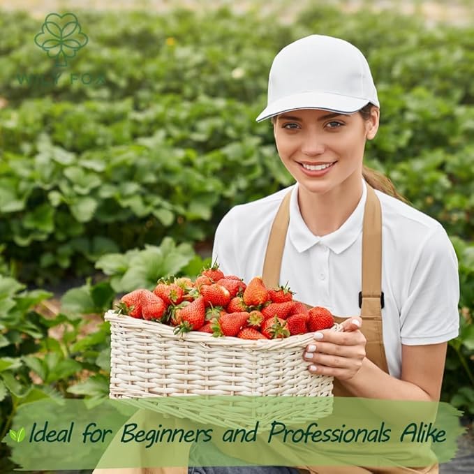 🍓 Наследствени семена от ягоди без ГМО ｜ Сладки и сочни · Висок и стабилен добив ｜ Подходящи за балкон и градина