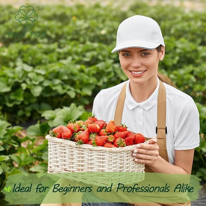 🍓 Наследствени семена от ягоди без ГМО ｜ Сладки и сочни · Висок и стабилен добив ｜ Подходящи за балкон и градина