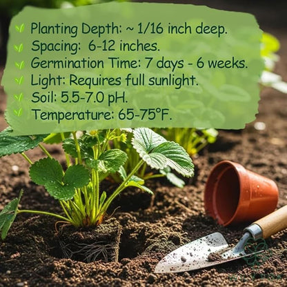 🍓 Наследствени семена от ягоди без ГМО ｜ Сладки и сочни · Висок и стабилен добив ｜ Подходящи за балкон и градина