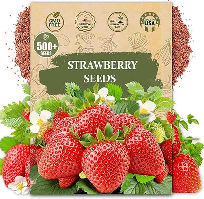 🍓 Наследствени семена от ягоди без ГМО ｜ Сладки и сочни · Висок и стабилен добив ｜ Подходящи за балкон и градина