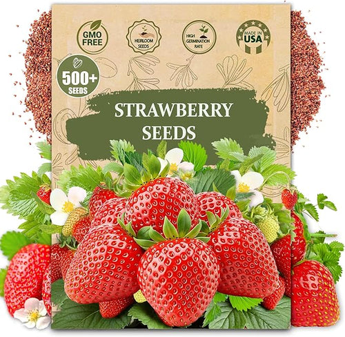 🍓 Наследствени семена от ягоди без ГМО ｜ Сладки и сочни · Висок и стабилен добив ｜ Подходящи за балкон и градина