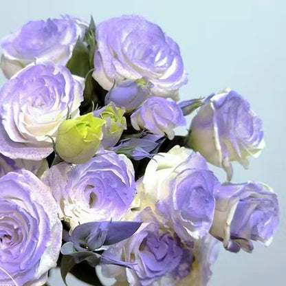 🌹 Редки многоцветни розови семена — Създайте вашата мечтана градина  Устойчиви на студ · Лесни за отглеждане през всички сезони · Интензивен аромат · Богат избор на цветове