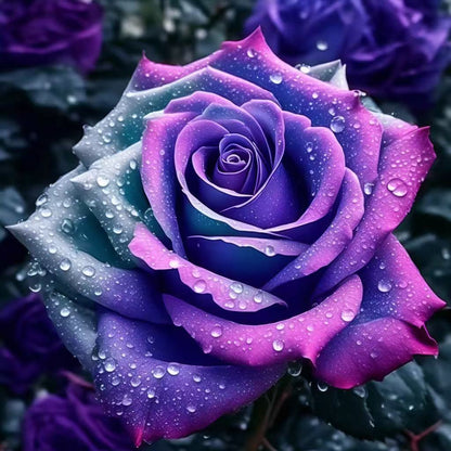 🌹 Редки многоцветни розови семена — Създайте вашата мечтана градина  Устойчиви на студ · Лесни за отглеждане през всички сезони · Интензивен аромат · Богат избор на цветове