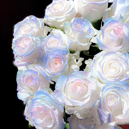 🌹 Редки многоцветни розови семена — Създайте вашата мечтана градина  Устойчиви на студ · Лесни за отглеждане през всички сезони · Интензивен аромат · Богат избор на цветове